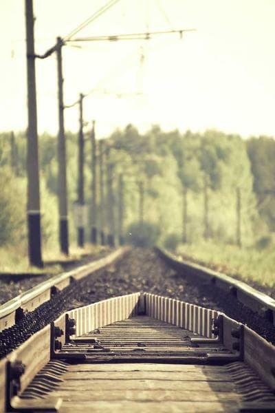 The Professor's Office