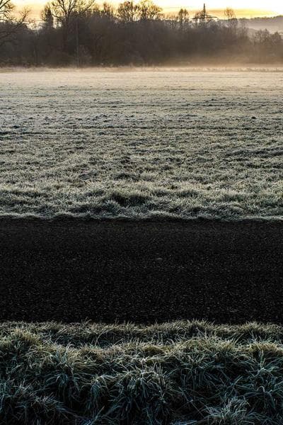 Coffee Shop Encounter