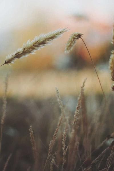 Midnight Confessions