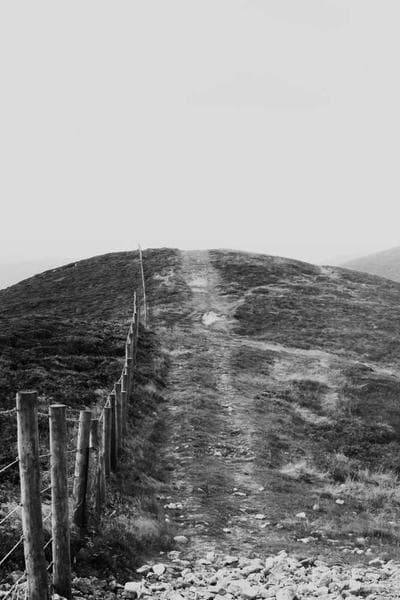 Coffee Shop Encounter