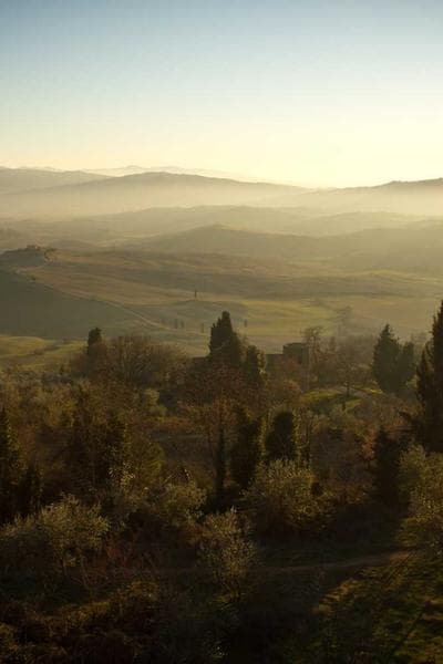 The Professor's Office