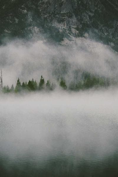 The Professor's Office